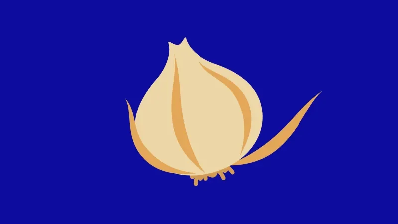 First Idea: First Layer of an Onion
